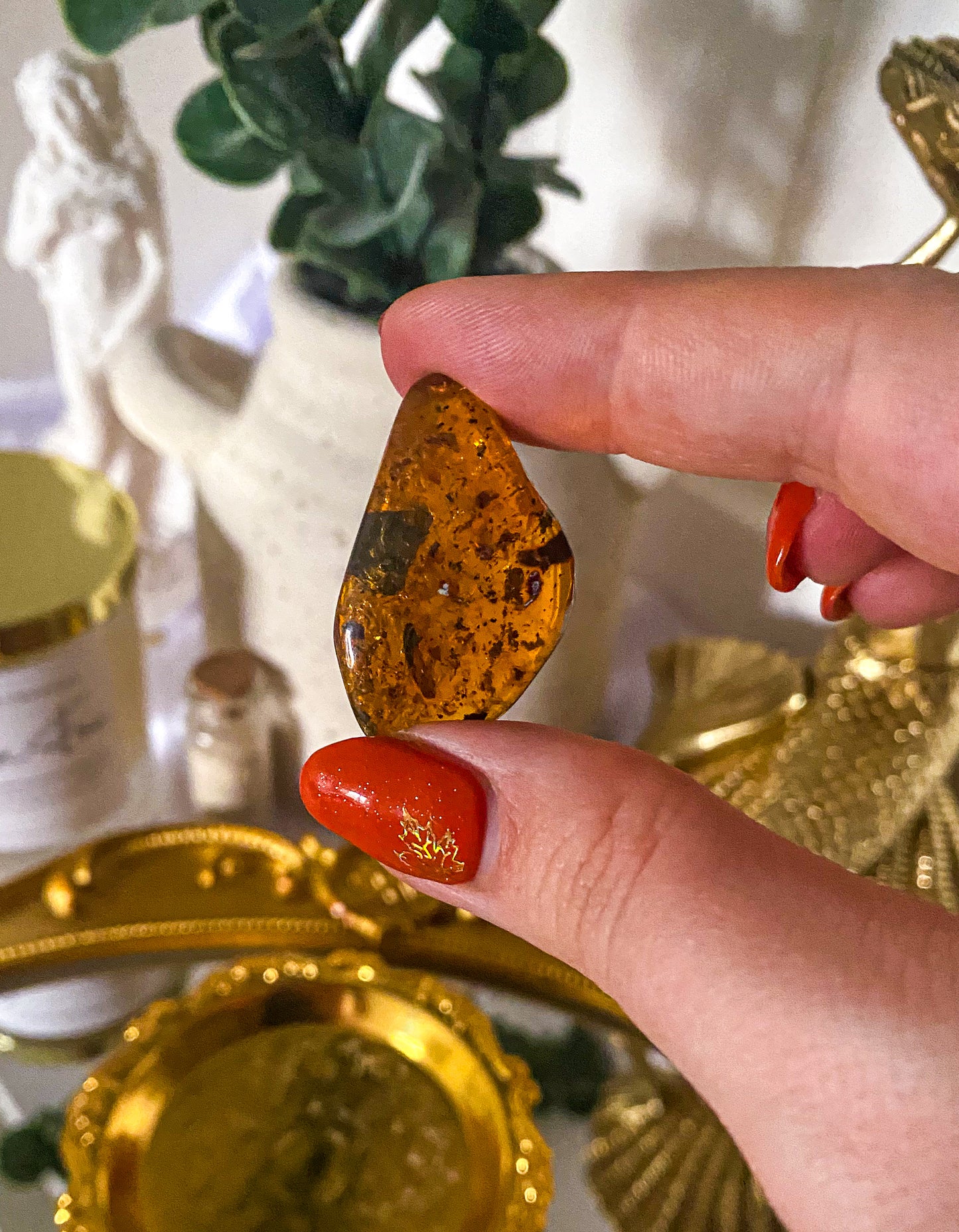 Amber With Fossilised Insects