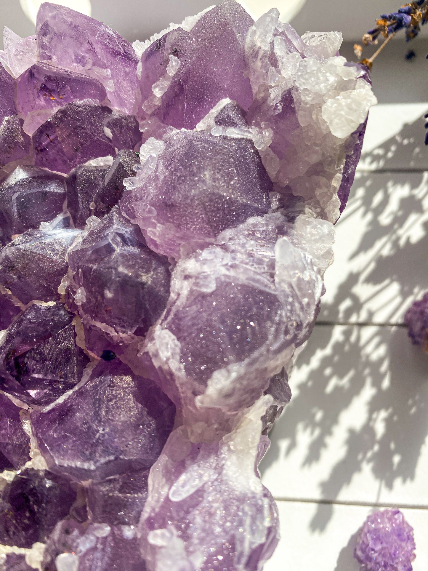 Thistle | Sugar Amethyst Cluster On Stand | Brazil