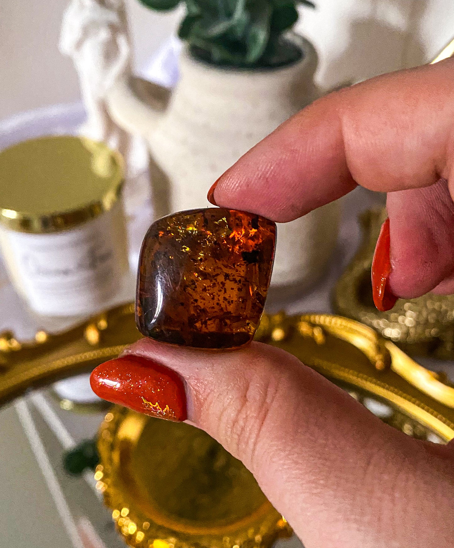 Amber With Fossilised Insects