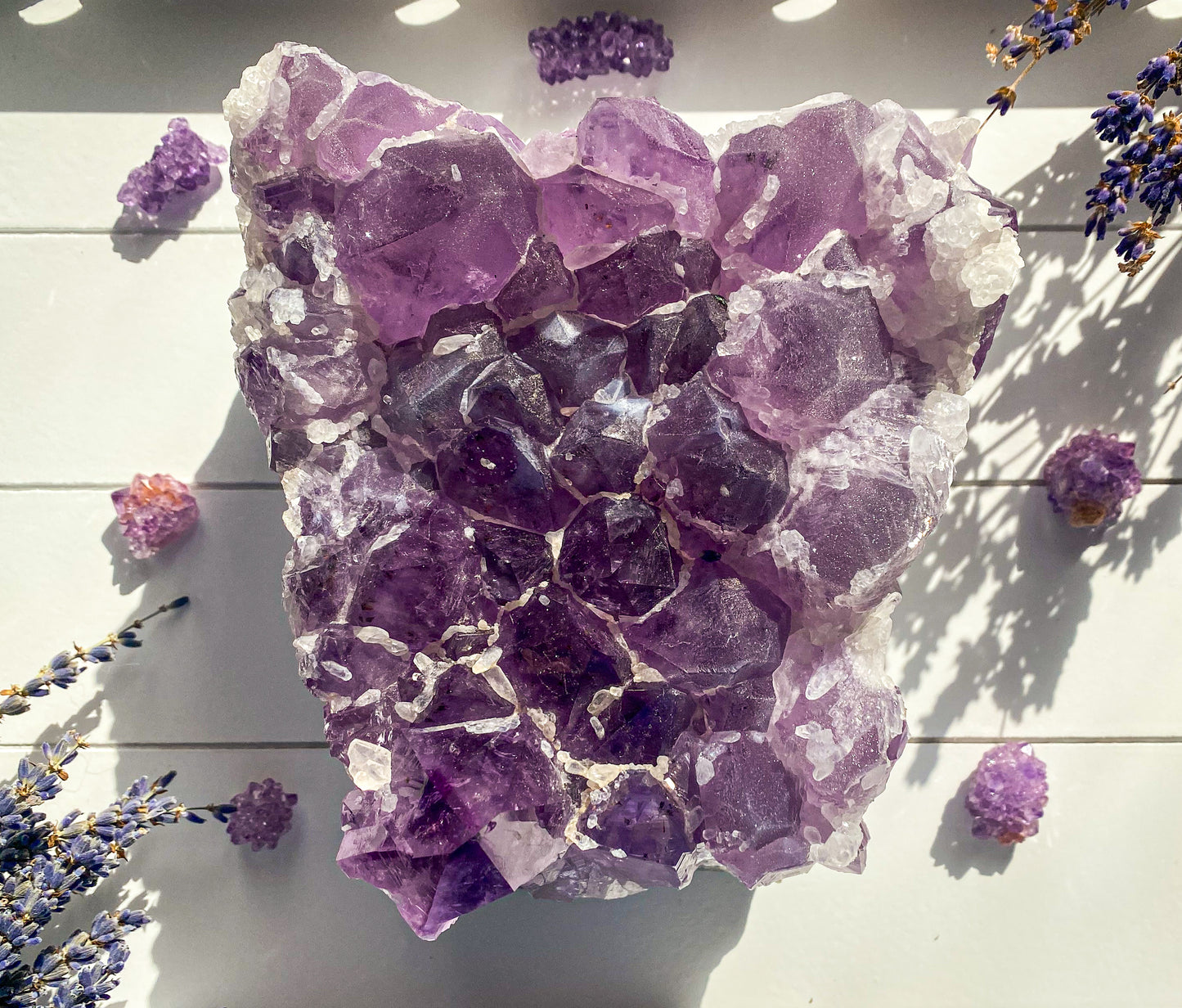 Thistle | Sugar Amethyst Cluster On Stand | Brazil